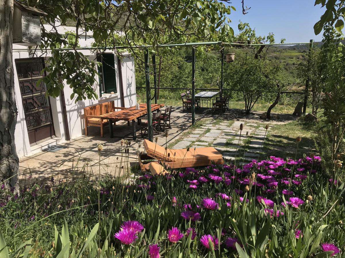 Temenia House Villa Ngoại thất bức ảnh