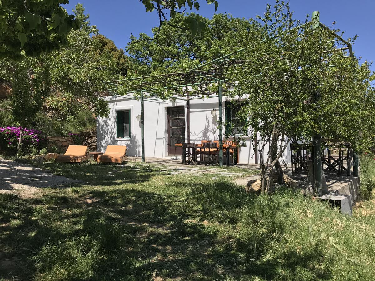 Temenia House Villa Ngoại thất bức ảnh