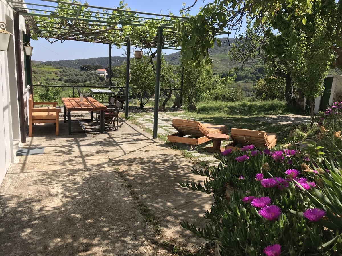 Temenia House Villa Ngoại thất bức ảnh